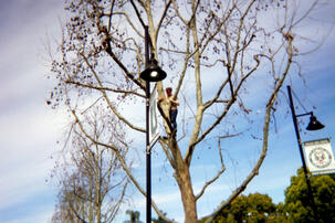 Dude Get Out of There Dude Get Out of There